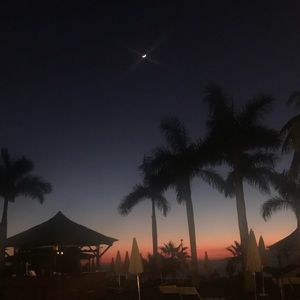 Meet your Posher, Magda